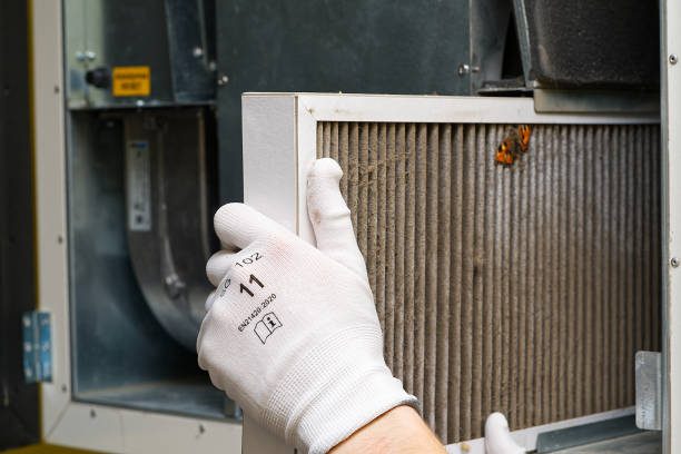 Best Air Duct Cleaning Near Me  in North Star, DE