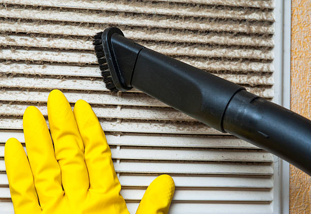 Best Local Air Duct Cleaning Services  in North Star, DE